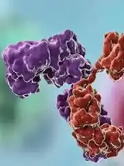 靶向药物：癌症治疗的新时代与耐药挑战